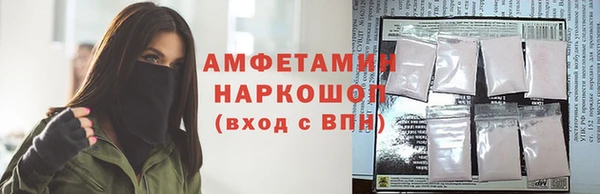 сатива Верея