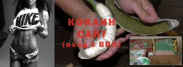 сатива Верея