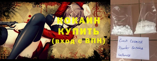 сатива Верея