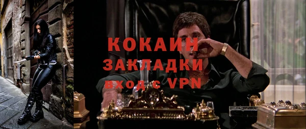 сатива Верея