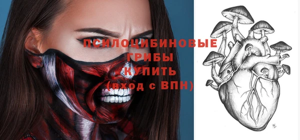 сатива Верея
