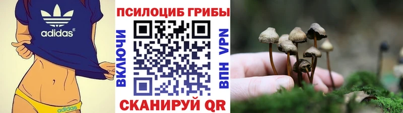Псилоцибиновые грибы Cubensis  Горбатов 